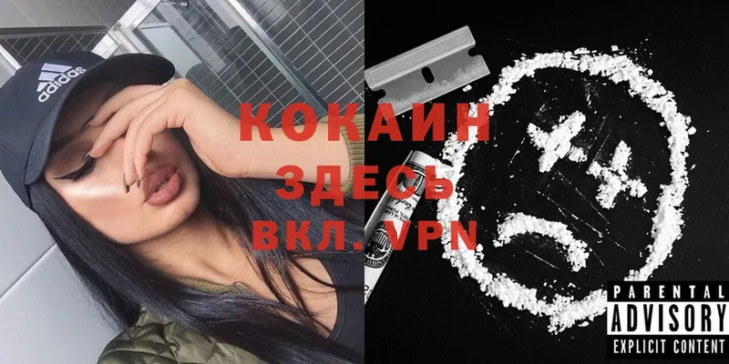 МЕГА как зайти  Скопин  Cocaine Перу 